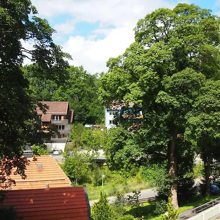 Harzgruen Apartament